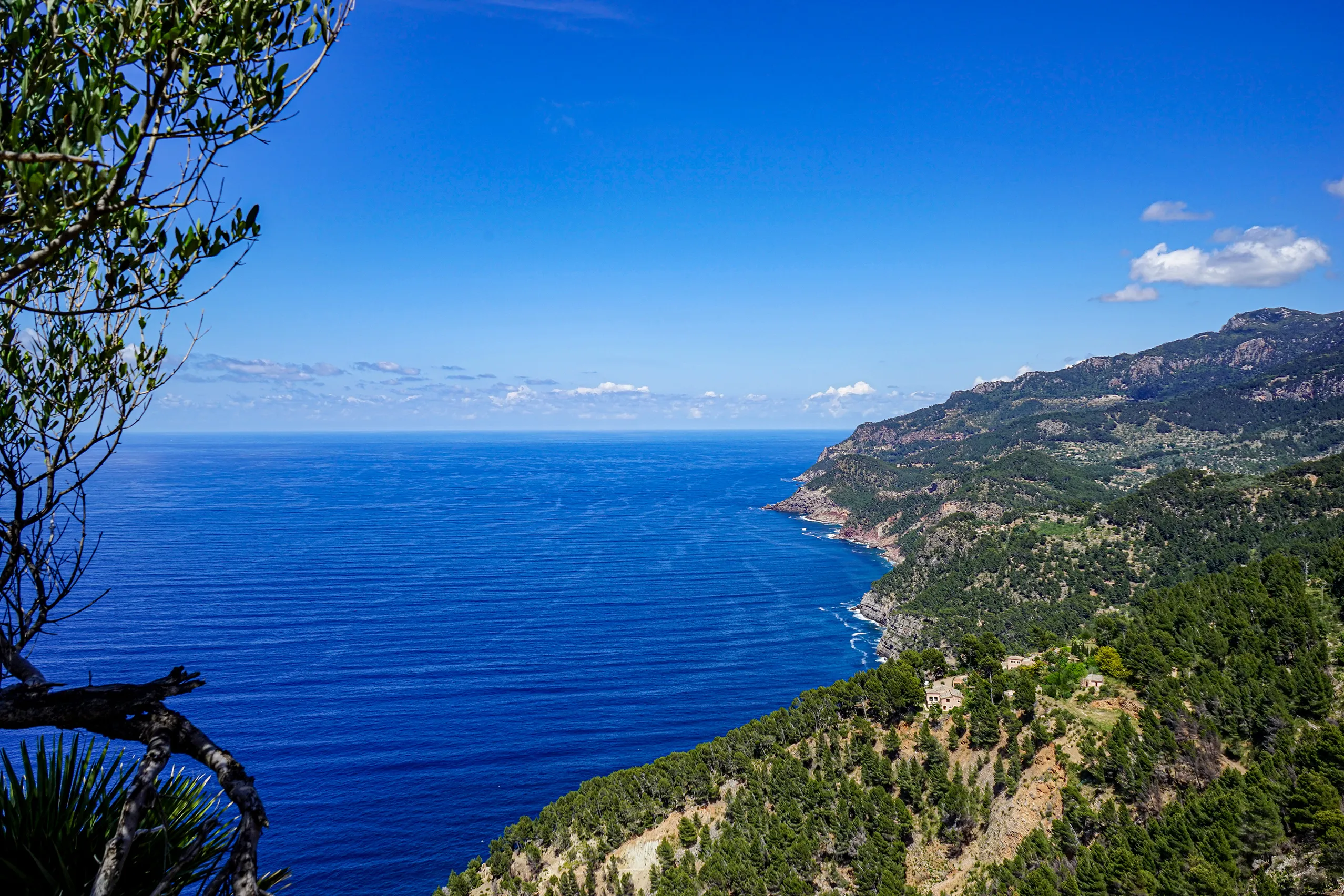 Blick vom Mirador de Ricardo Roca über das tiefblaue Meer auf die bewaldete Steilküste der Serra de Tramuntana, die in mehreren Kaps nach Norden zieht.
