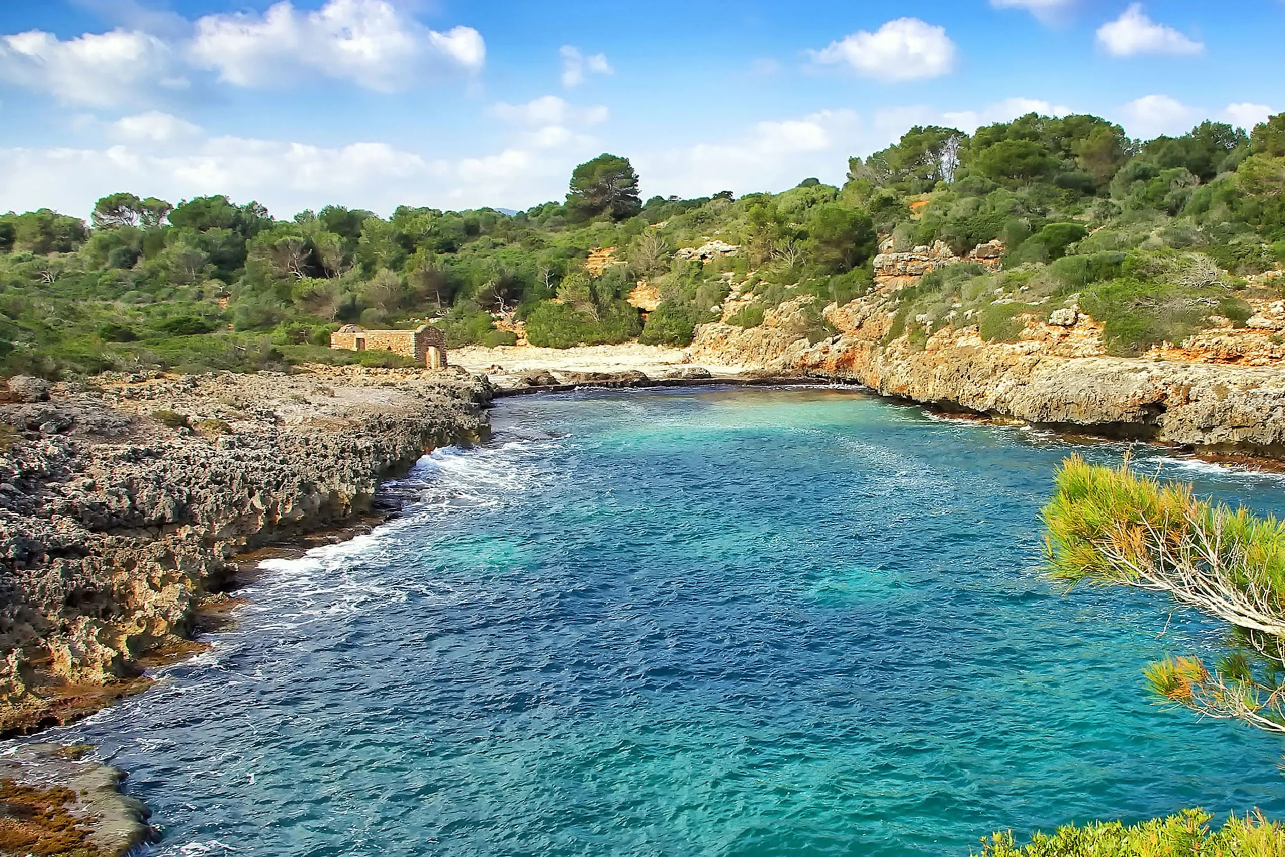 Die Cala Brafi mit sehr klarem türkis- und grünblauem Wasser zwischen niedrigen Felsufern, ringsum dichter grüner Bewuchs bis ans Wasser.
