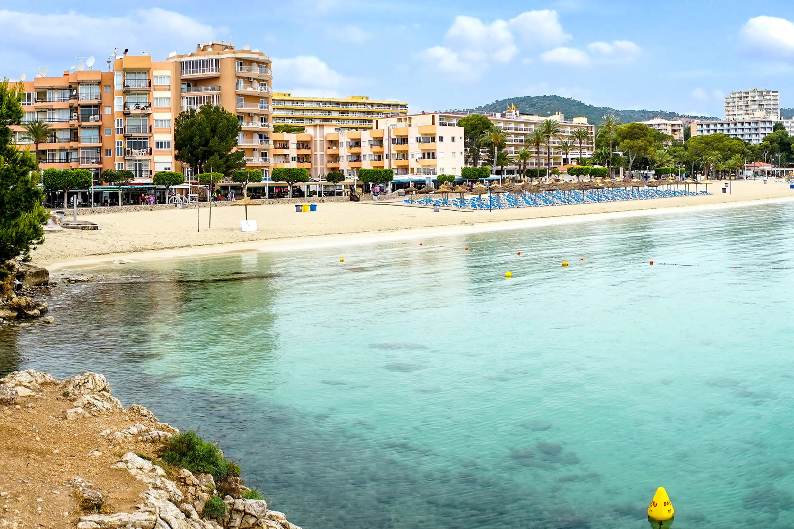Die Bucht von Palmanova mit hellem Sandstrand, Reihen blauer Liegen, Promenade und mehrstöckigen Hotelbauten dahinter, im Wasser türkisfarbene Flachwasserzonen.
