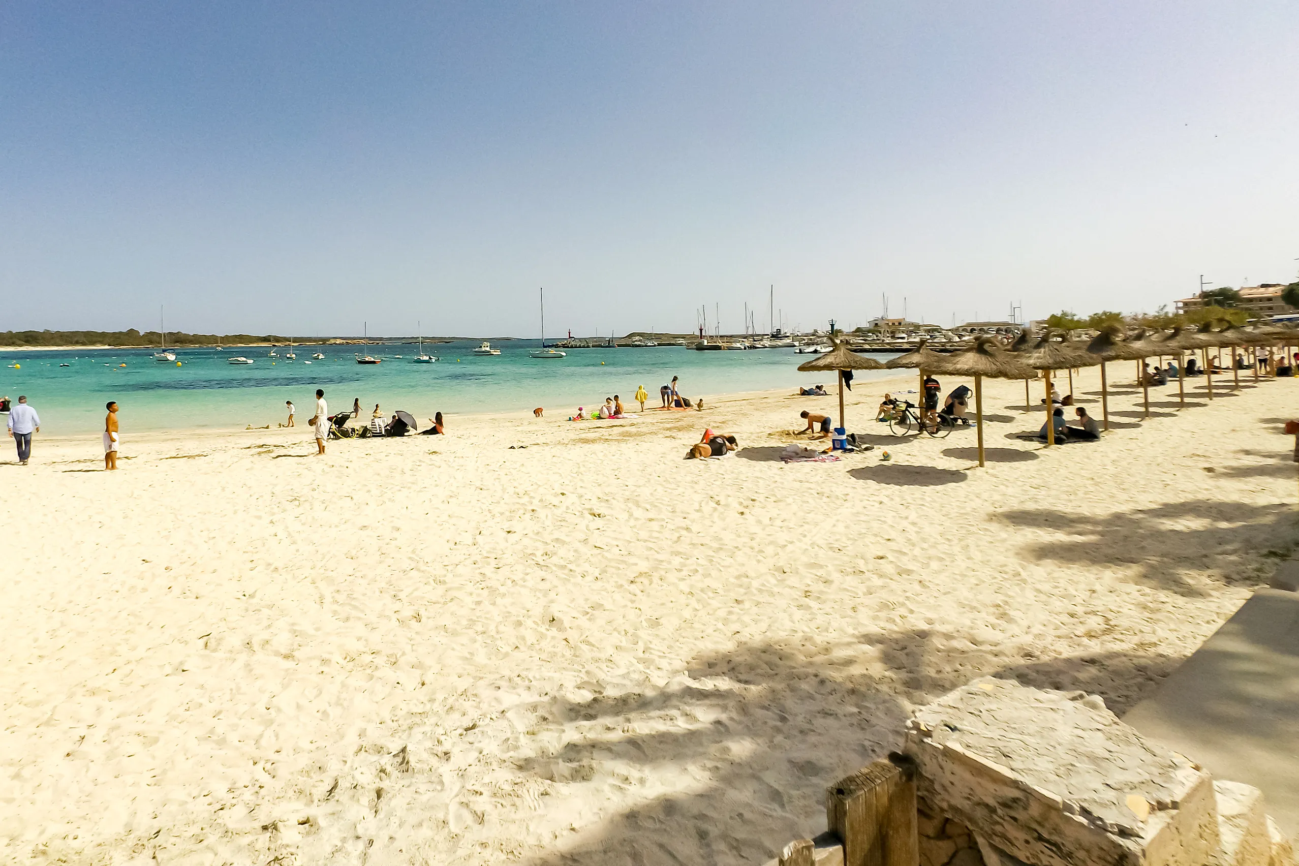 Weite flache Bucht bei Colònia de Sant Jordi mit türkisfarbenem klarem Wasser, hellem Sandstrand und einer niedrigen Kiefernreihe dahinter.
