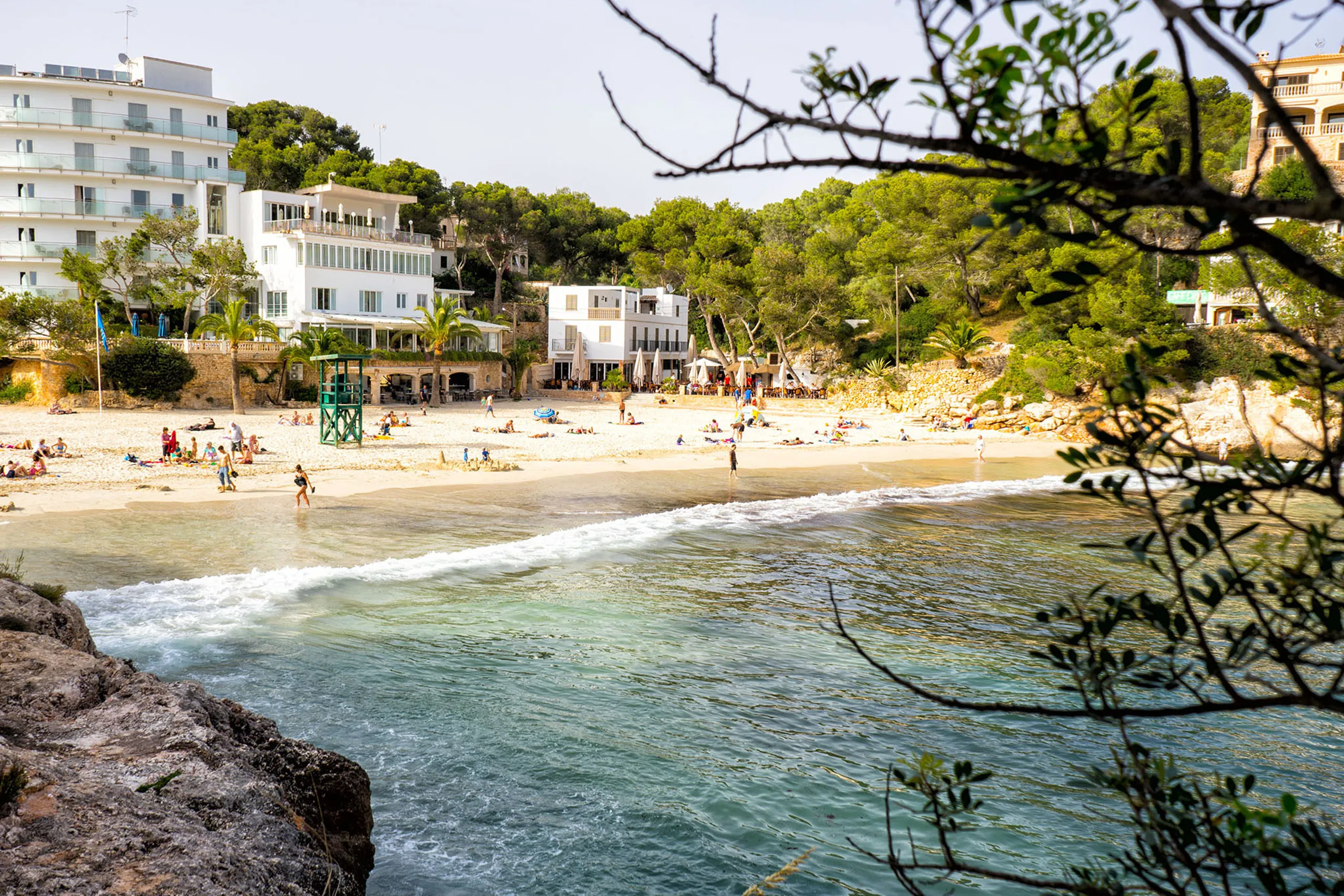 Blick durch Kiefernzweige auf die Cala Santanyí mit hellem Sandstrand, türkisfarbenem Wasser und den weißen Hotelbauten am Buchtrand.
