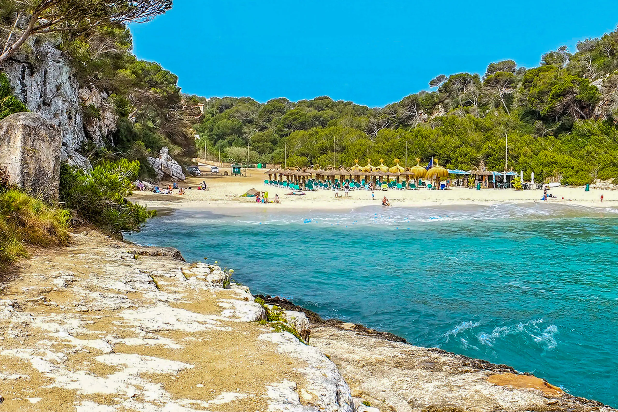 Die Cala Llombards mit hellem Sandstrand und einer Reihe Strohschirme, davor türkisfarbenes klares Wasser, gerahmt von hellen Felswänden mit Kiefern.
