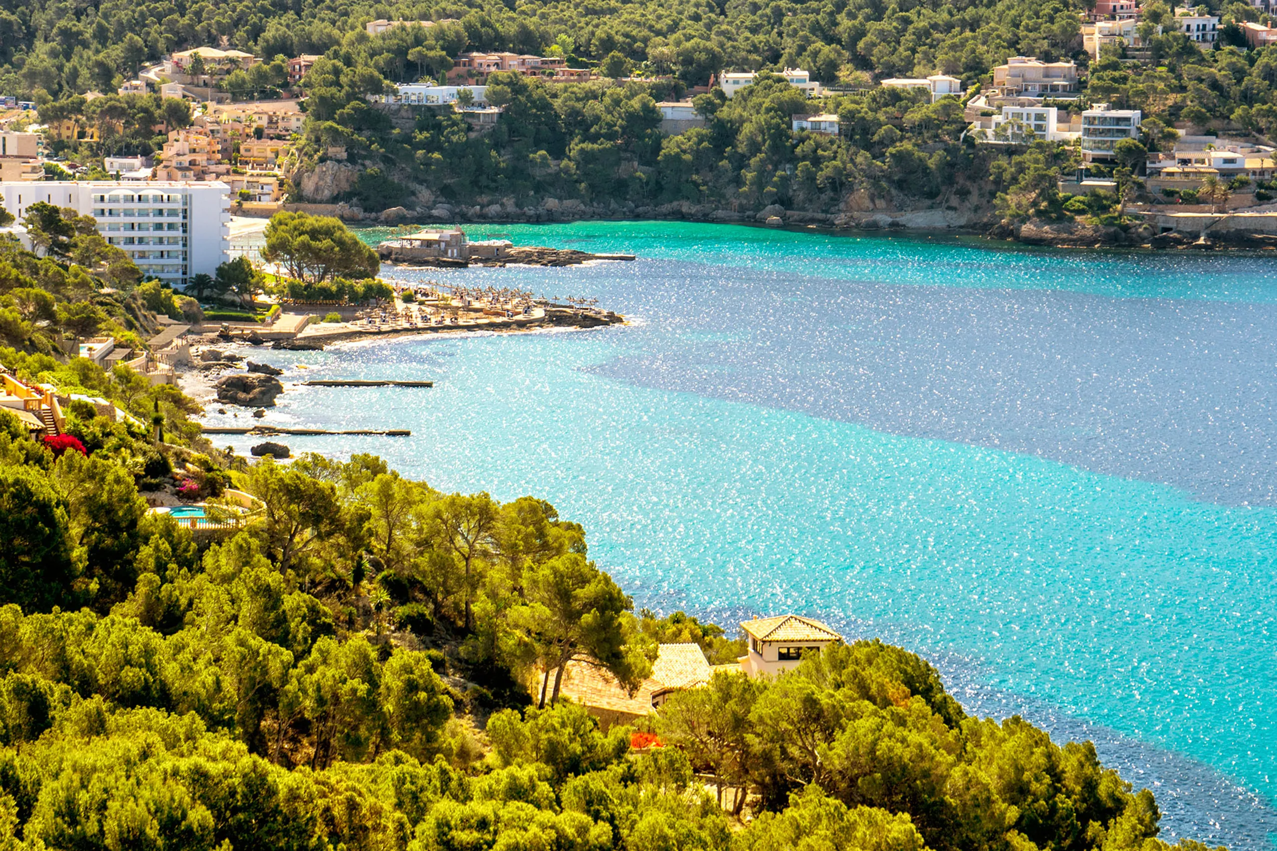 Blick von oben auf die Bucht von Camp de Mar mit leuchtend türkisem Wasser, hellem Sandstrand, Hotelbauten links und Villen zwischen Kiefern an den Hängen.
