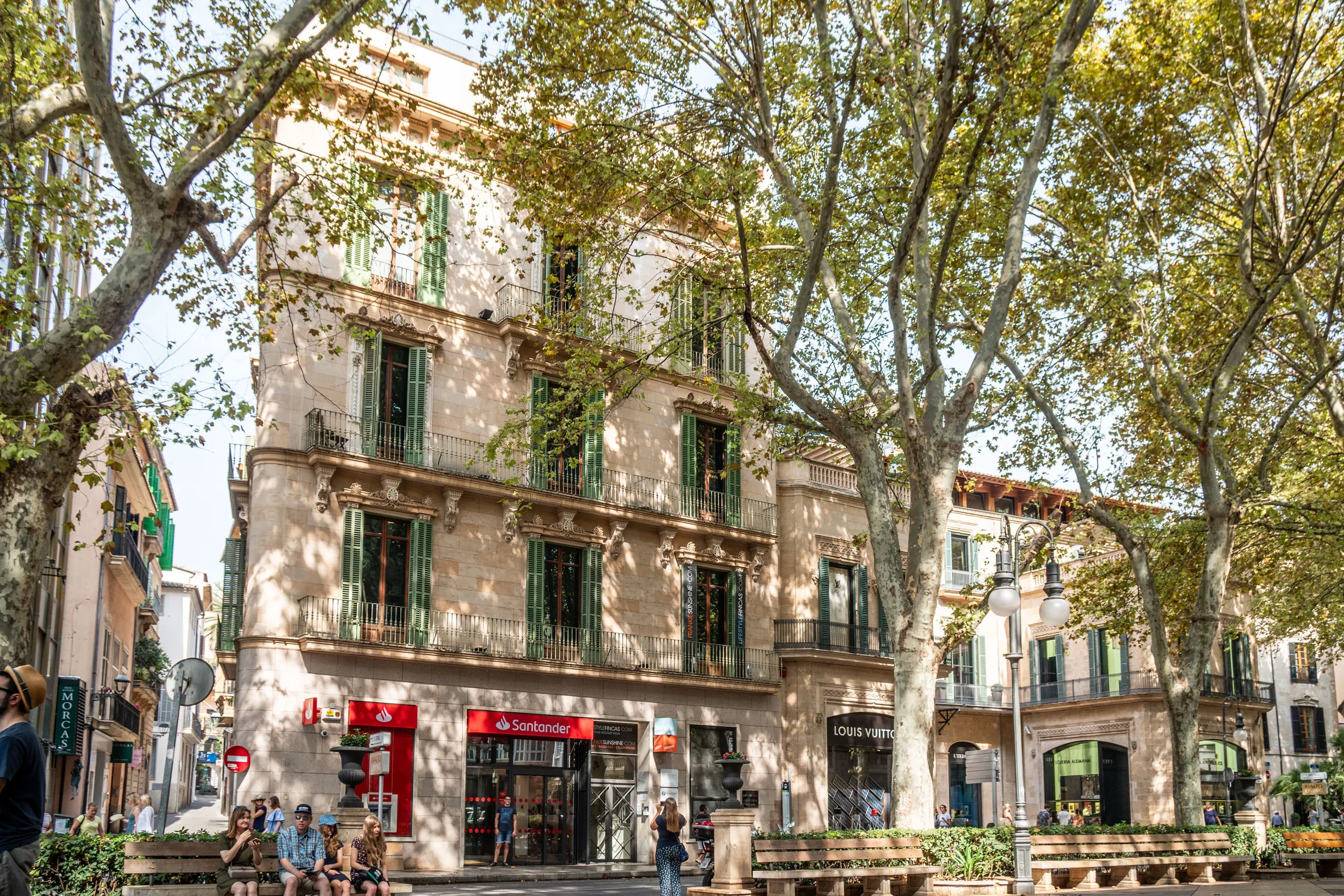 Der Passeig del Born in Palma mit hohen Platanen, hellen Fassaden und Menschen auf der Mittelpromenade.
