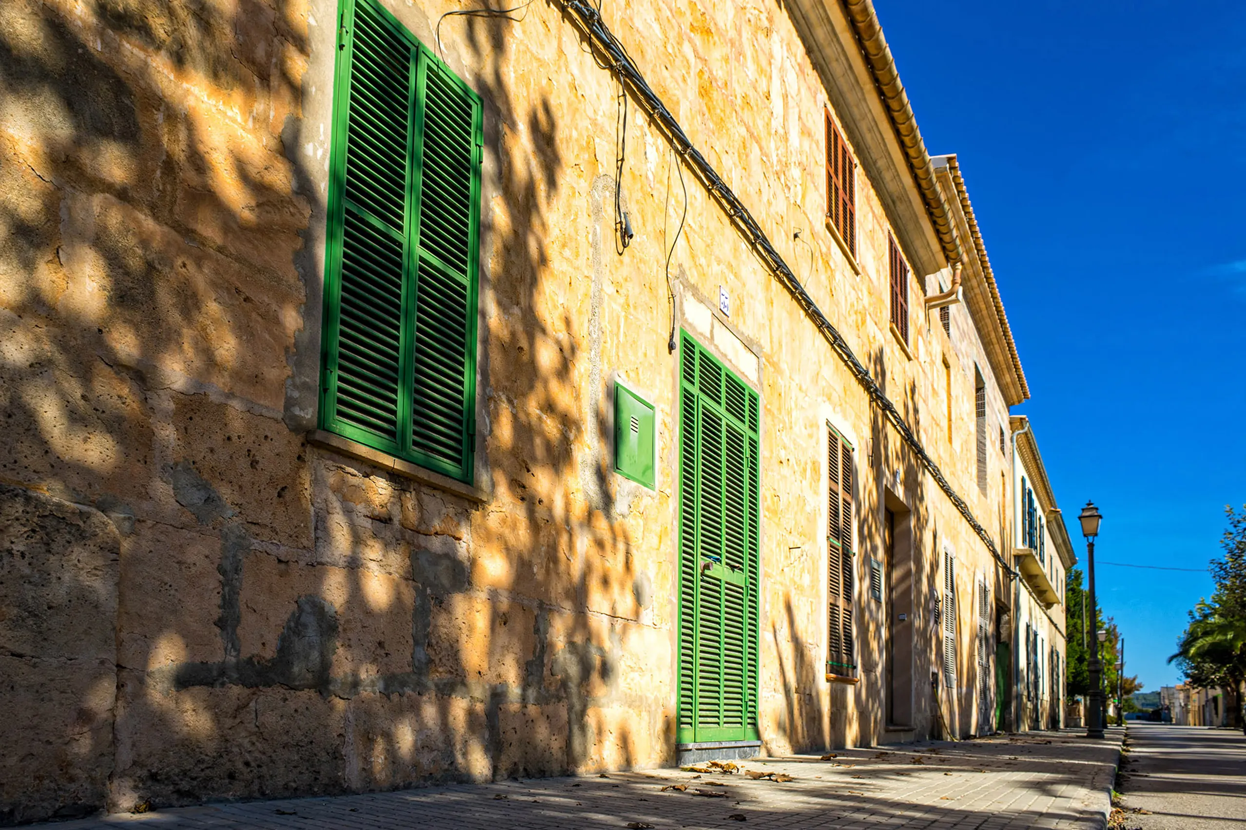 Sonnenbeschienene Gasse in Petra mit einer langen Fassade aus goldgelbem Sandstein, grünen Fensterläden und Türen, davor Baumschatten auf der Wand.
