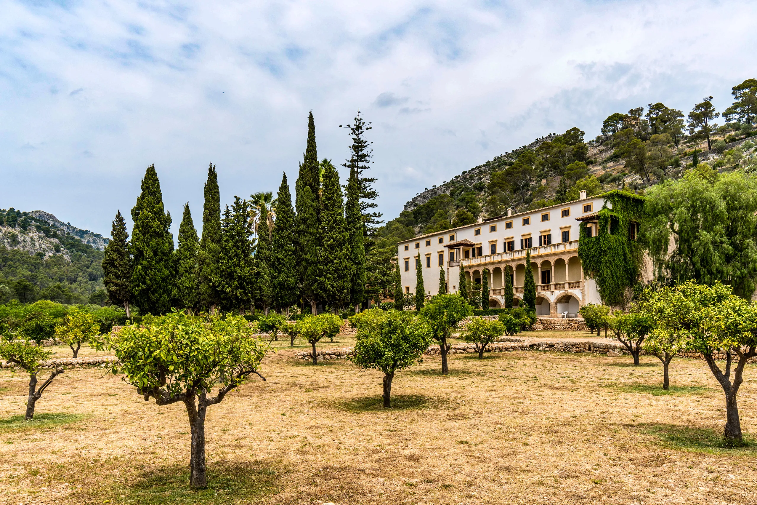 Das Herrenhaus von Raixa hinter einem Orangenhain und hohen Zypressen, dahinter die bewaldeten Hänge der Serra de Tramuntana.
