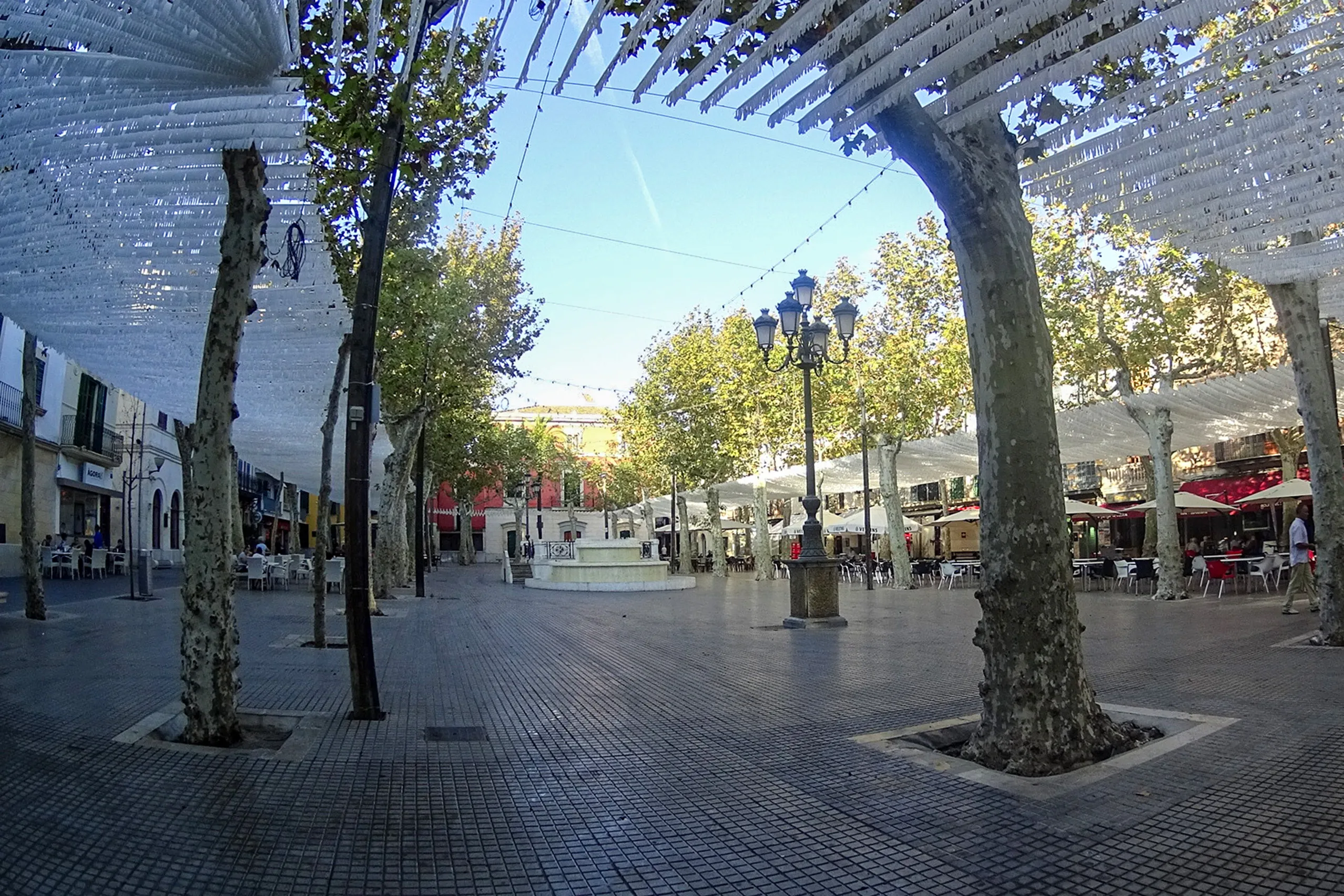 Der Hauptplatz von sa Pobla mit hohen Platanen, einer weißen Pergola, Straßenlaternen und den Terrassen der Lokale.
