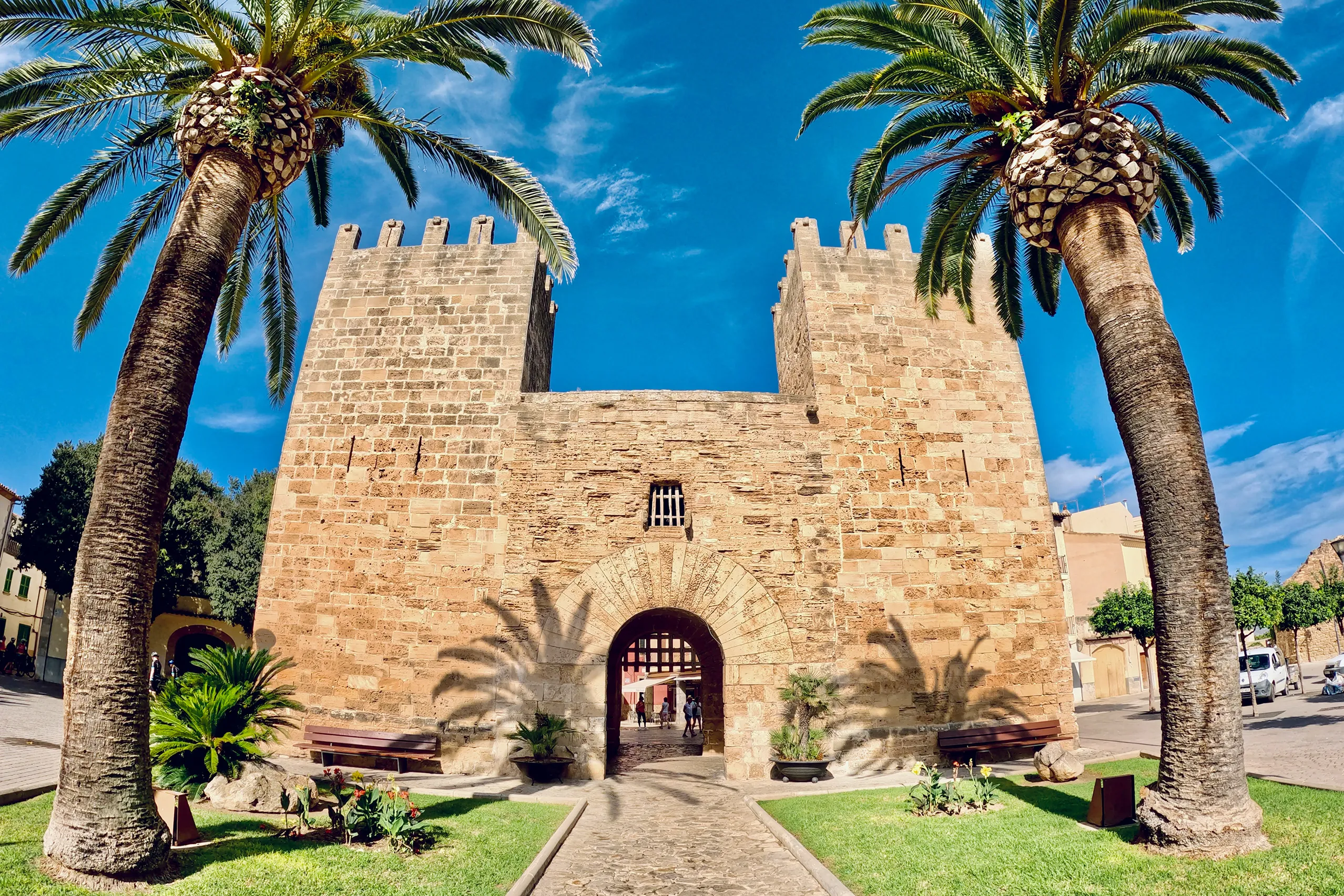 Das Stadttor Porta del Moll in Alcúdia: zwei wehrhafte Türme aus honigfarbenem Sandstein mit Zinnenkranz, dazwischen ein Rundbogendurchgang, davor zwei hohe Palmen und eine Rasenfläche.
