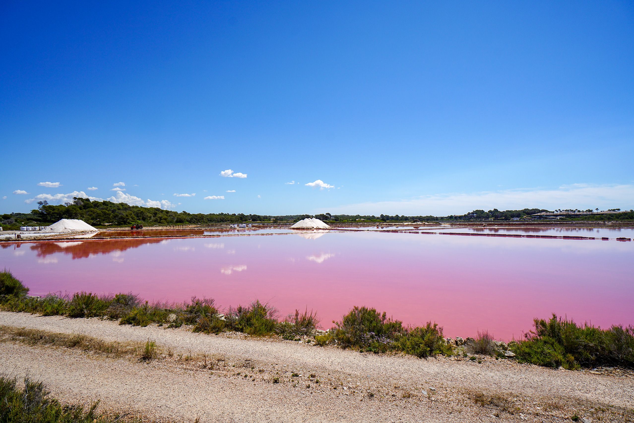 Weite rosafarbene Salzbecken der Salines d'Es Trenc unter blauem Himmel, in der Mitte ein weißer Salzberg, der sich im Wasser spiegelt.
