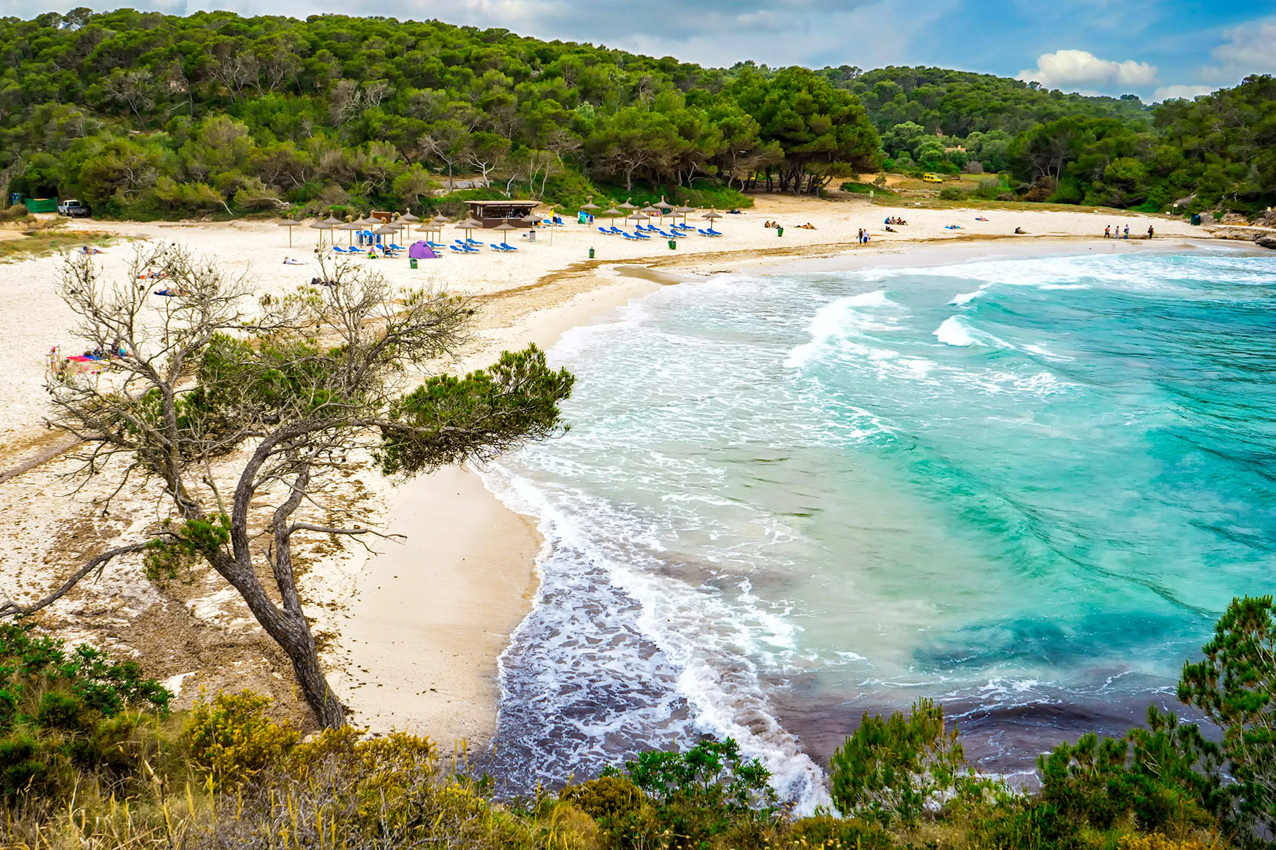 Blick von oben auf den Strand S'Amarador in der Cala Mondragó: heller Sandbogen mit Badegästen, türkisfarbenes Wasser und dichter Kiefernwald ringsum.

