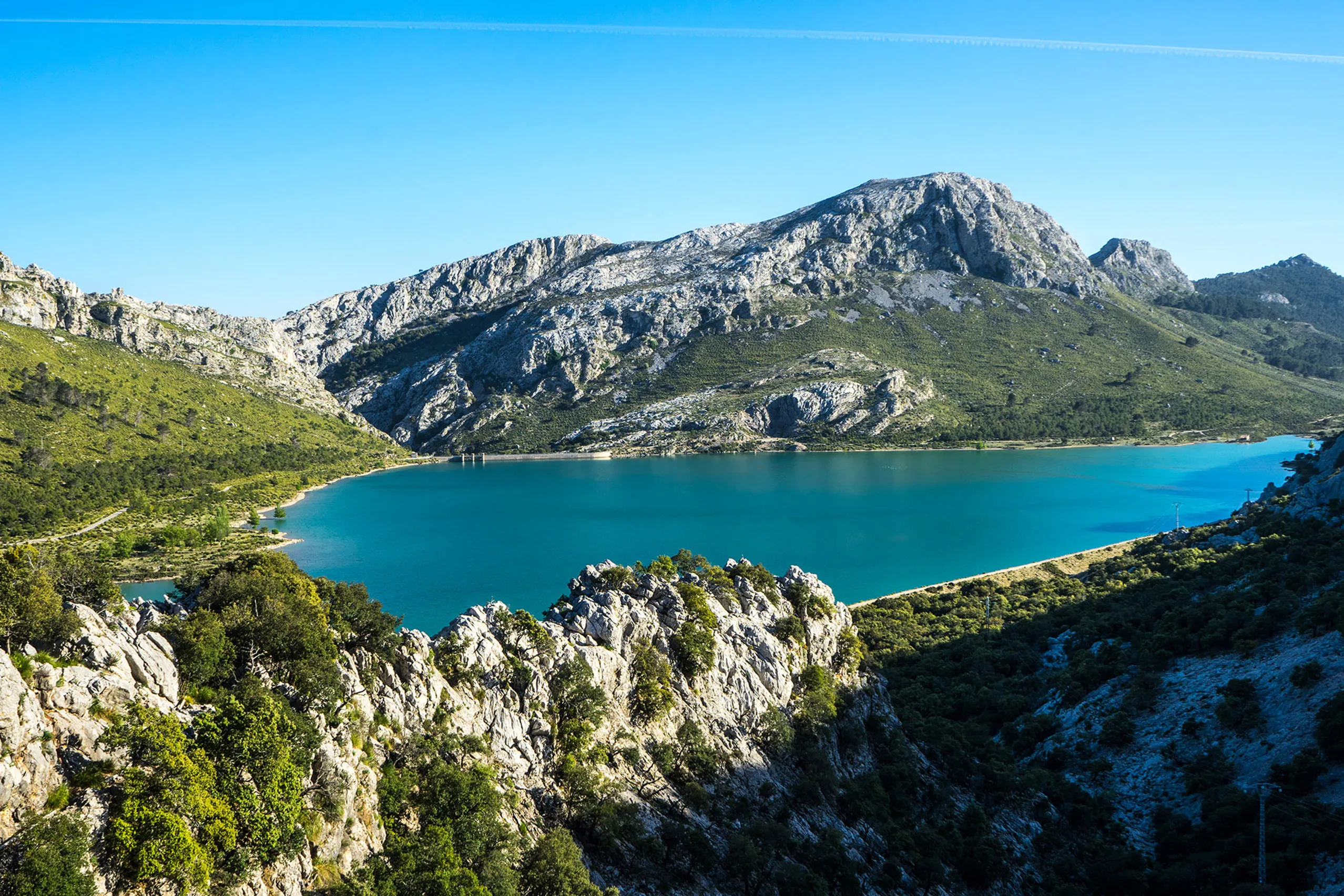 Der türkisgrüne Stausee Gorg Blau zwischen bewaldeten Hängen der Serra de Tramuntana, dahinter kahle Kalkgipfel unter blauem Himmel.
