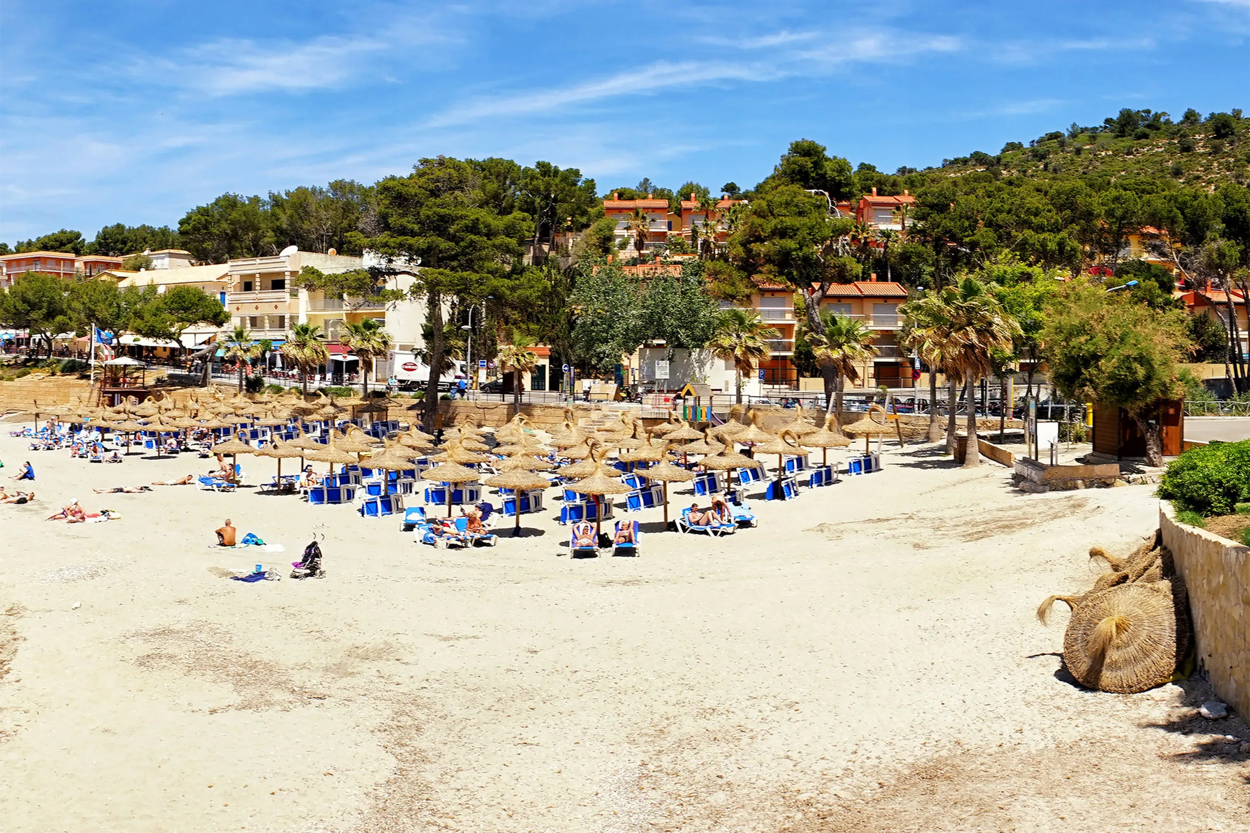 Der Sandstrand von Sant Elm mit Reihen von Schirmen und Liegen, dahinter Palmen, Kiefern und die niedrigen Häuser des Orts.
