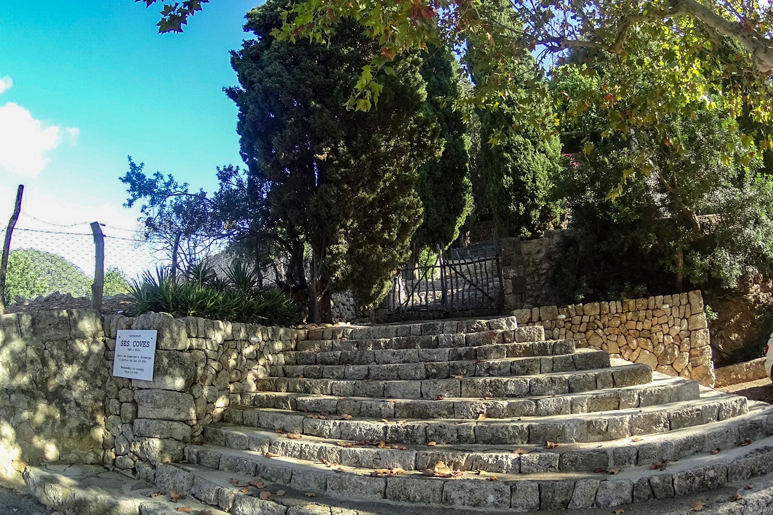 Breite Natursteintreppe zum Eingang der Coves de Campanet, gesäumt von Trockenmauern, Zypressen und Platanen.
