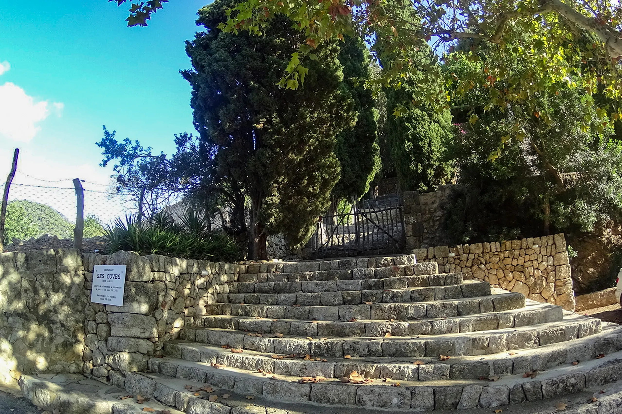 Breite Natursteintreppe zum Eingang der Coves de Campanet, gesäumt von Trockenmauern, Zypressen und Platanen.
