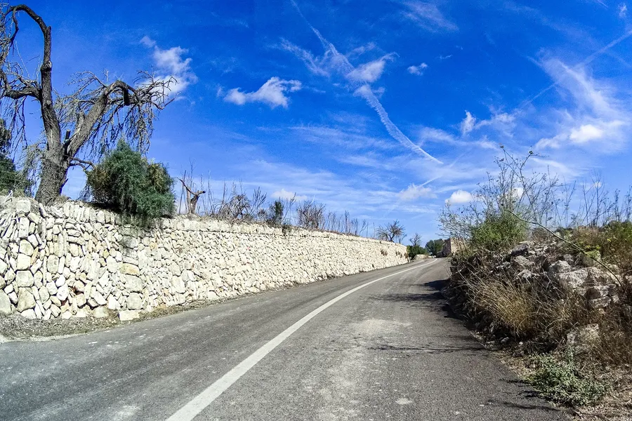 Eine Landstraße im Pla de Mallorca folgt einer langen, hellen Trockenmauer, links ein abgestorbener Baum, rechts trockenes Gras unter blauem Himmel.