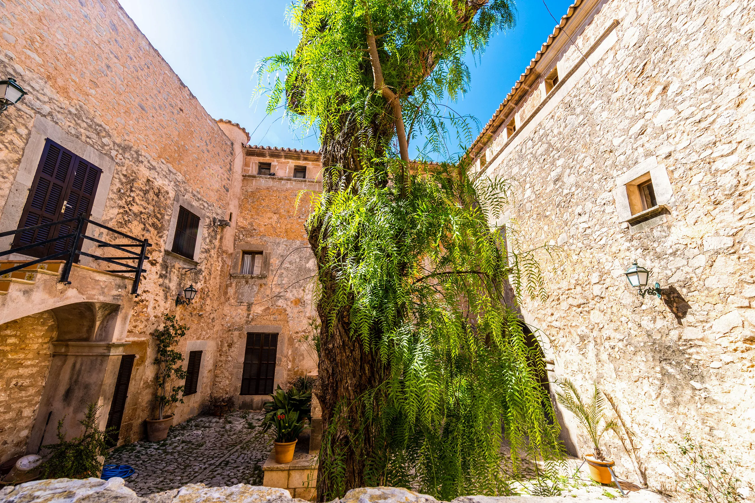 Enge Gasse zwischen alten Sandsteinhäusern in Santanyí, überhangen von einem großen Pfefferbaum, im Vordergrund Kakteen.
