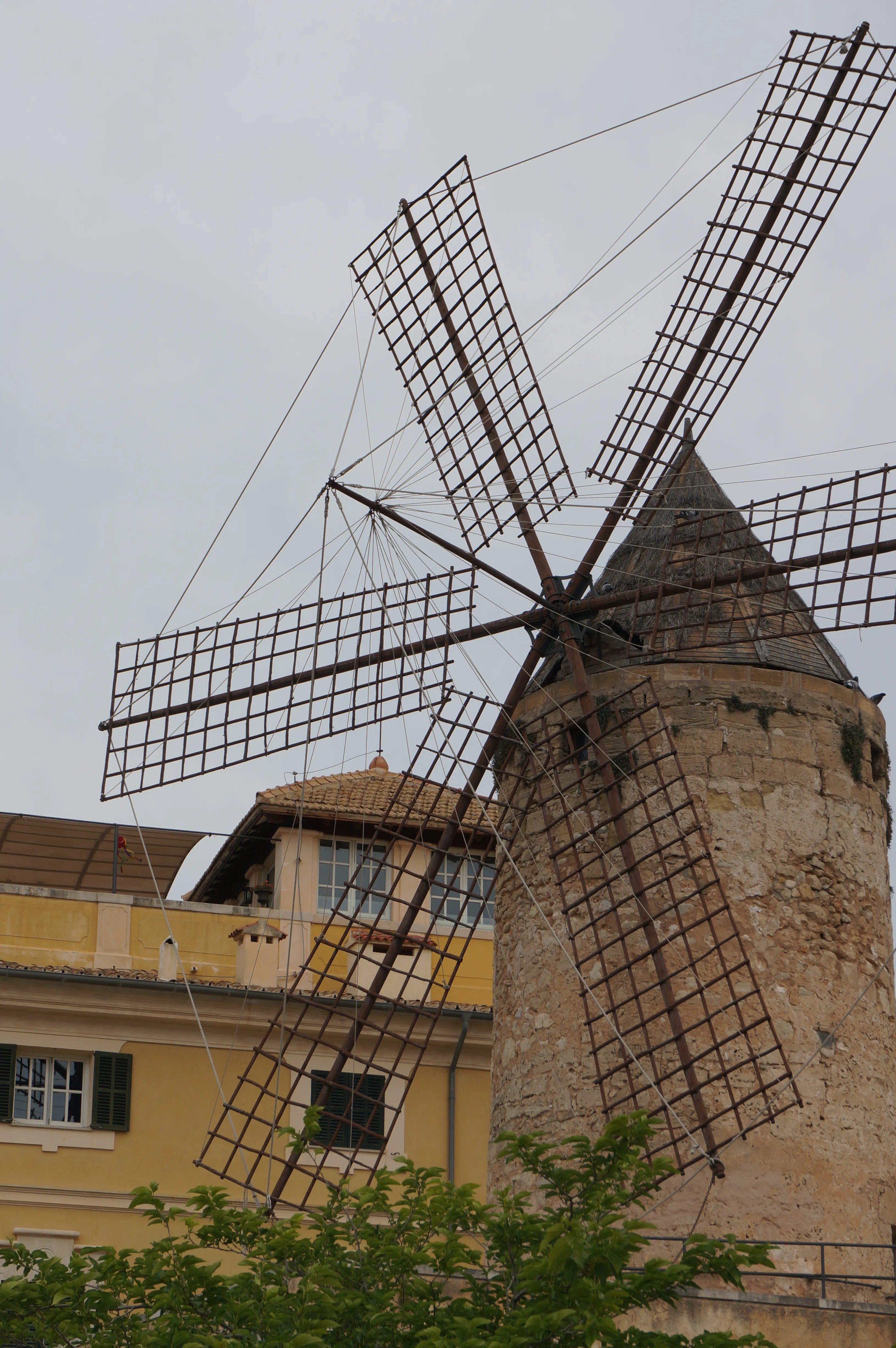 Eine der historischen Windmühlen von Es Jonquet in Palma von unten fotografiert, das hölzerne Flügelkreuz mit Gittersegeln vor bewölktem Himmel, daneben ein gelbes Wohnhaus.
