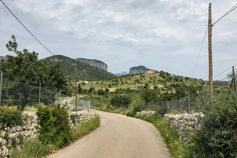 Schmale Landstraße zwischen Trockenmauern aus Alaró heraus, dahinter Felder, Olivenhaine und der Tafelberg Puig d'Alaró am Horizont.