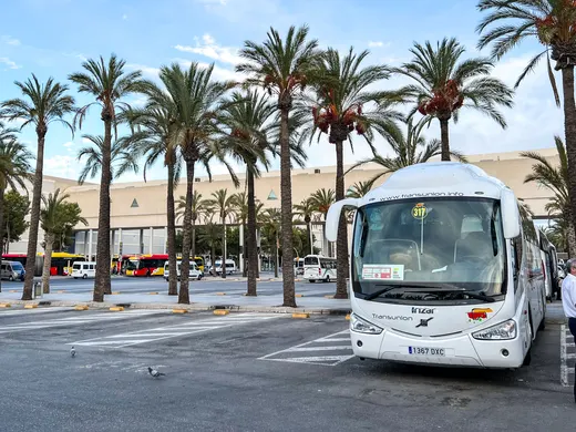 Reisebusse vor dem Terminal des Flughafens Palma, davor eine Reihe hoher Palmen.