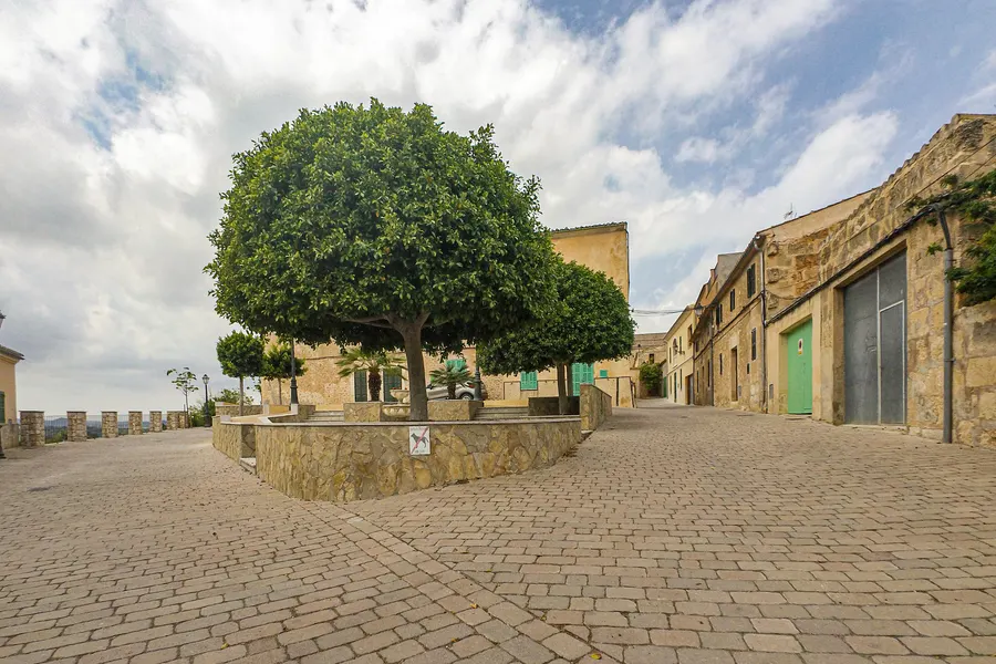 Gepflasterter Dorfplatz in Ariany mit einem großen runden Baum in einem gemauerten Beet, umgeben von Natursteinhäusern.
