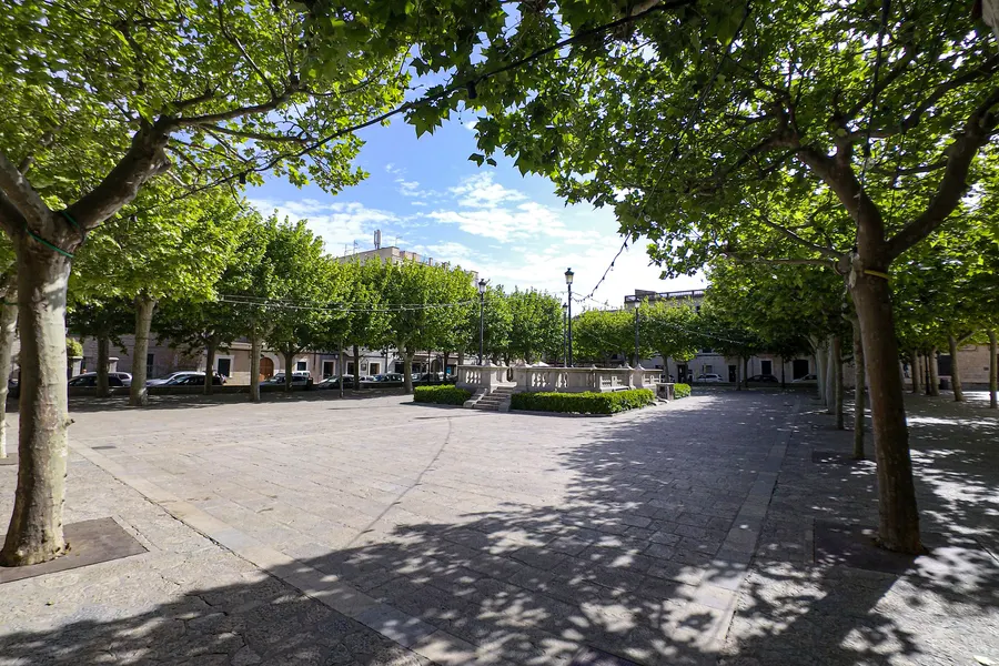 Weiter gepflasterter Platz in Binissalem, ringsum von hohen Platanen gesäumt, im Hintergrund die Häuserzeile.
