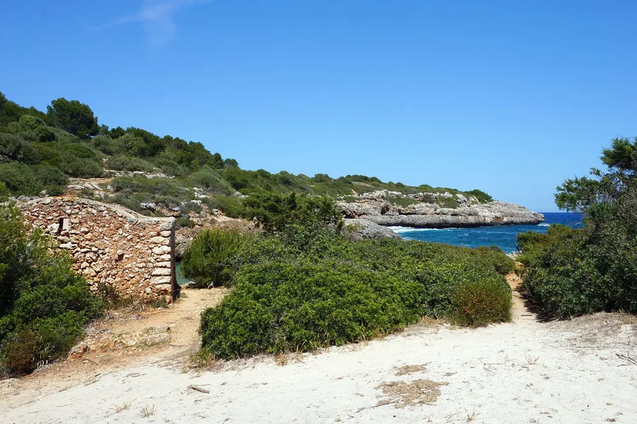 Sandiger Trampelpfad durch niedrige Macchia oberhalb der Cala Brafi, rechts eine alte Trockenmauer, im Hintergrund das Meer.