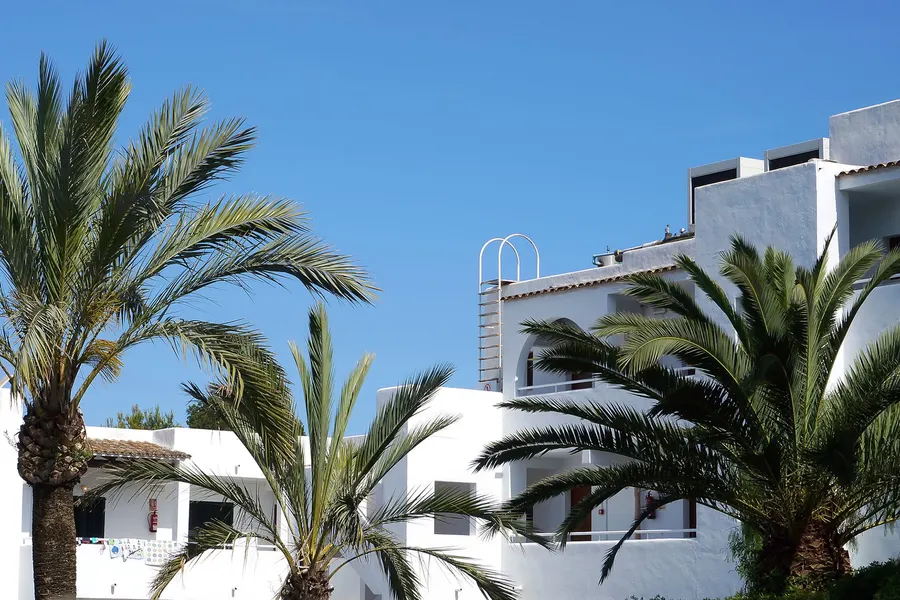 Hohe Palmen vor weißen Ferienhäusern in Cala d'Or unter blauem Himmel.
