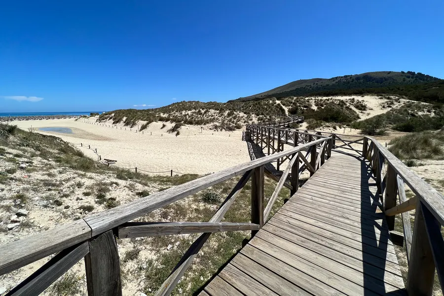 Hölzerner Bohlenweg mit Geländer, der über die bewachsenen Dünen hinter der Cala Mesquida zum Strand führt, links der helle Sand und das Meer.