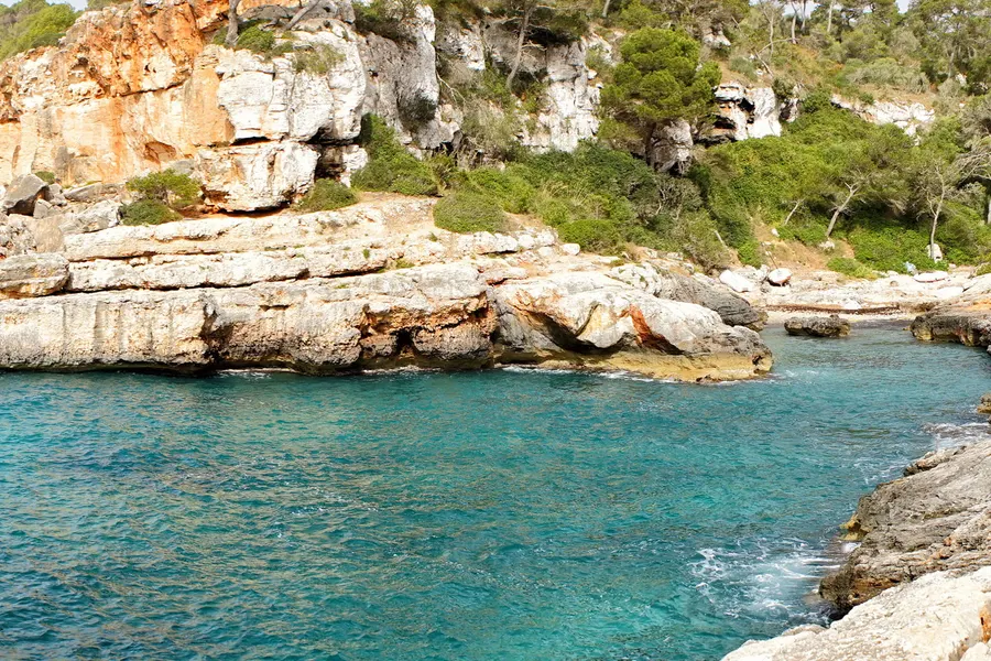 Schmaler Seitenarm der Cala s'Almunia zwischen hellen Felsrippen mit klarem Wasser, dahinter Kiefern auf der Kante.
