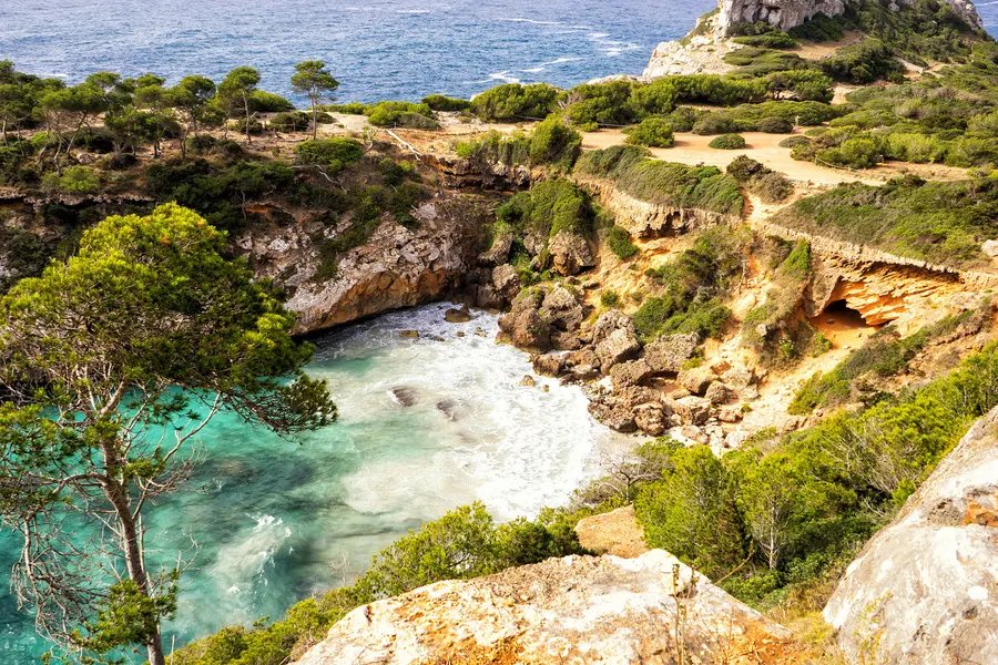 Blick über Fels und Macchia auf den schmalen Einschnitt des Caló des Moro mit klarem Wasser, im Vordergrund der steile, unbefestigte Abstieg.