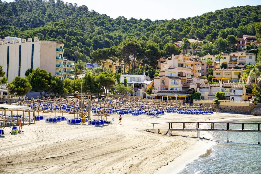 Der Sandstrand von Camp de Mar mit Reihen blauer Liegen und Sonnenschirmen, dahinter Hotel und bewaldeter Hang, rechts ein hölzerner Steg, der ins Wasser hinausführt.
