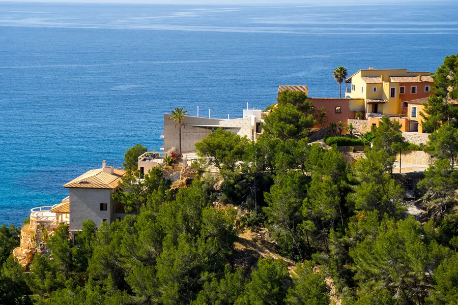 Ockerfarbene und helle Häuser mit Palmen und Terrassen über der Steilküste von Camp de Mar, davor dichte Kiefern und das Meer.
