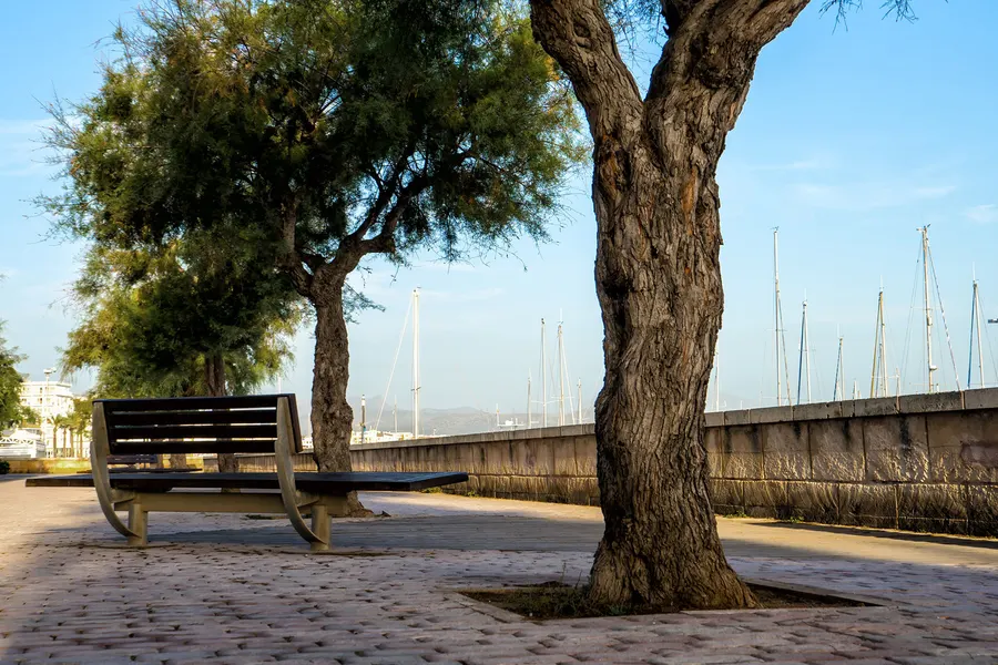 Leere Holzbank im Schatten zweier alter Tamarisken auf der gepflasterten Hafenpromenade, rechts die niedrige Ufermauer, dahinter Masten des Jachthafens unter blauem Himmel.