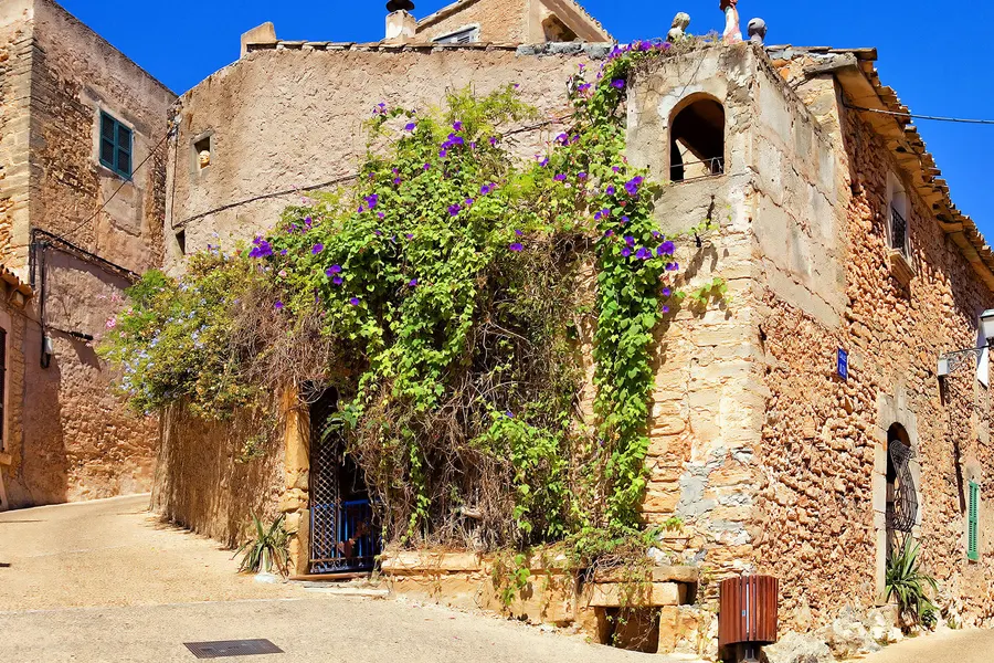 Enge Pflastergasse in Capdepera an einer alten Natursteinmauer, überwachsen von blühender Bougainvillea, im Schatten ein kleiner Laden.