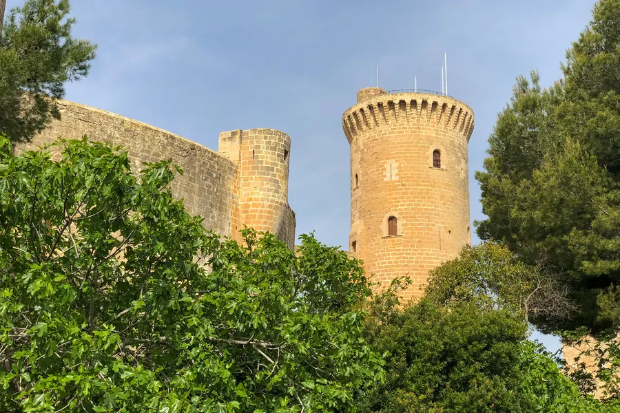 Der freistehende Hauptturm des Castell de Bellver mit Zinnen über den Wipfeln des umgebenden Pinien- und Laubwaldes.