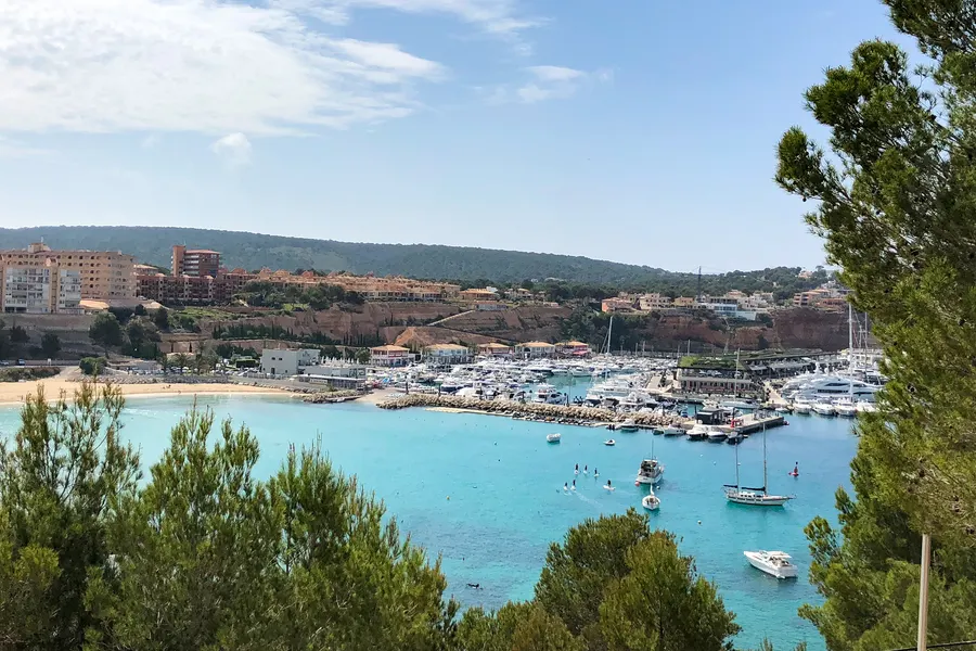 Blick von oben über den Yachthafen Port Adriano mit zahlreichen Booten an den Stegen, davor Kiefern und die Küstenlinie.