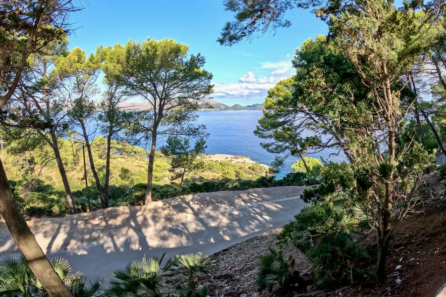Blick zwischen Aleppokiefern hindurch über die tiefblaue Bucht von Pollença, am gegenüberliegenden Ufer die gestaffelten Hügel der Halbinsel; im Vordergrund die Zufahrtsstraße im Nachmittagslicht.