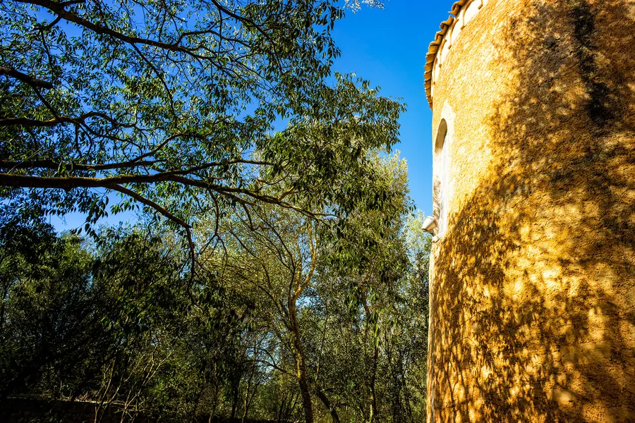 Der Turm der Església de Son Serra zwischen Bäumen, im Vordergrund eine sonnenbeschienene Natursteinmauer.