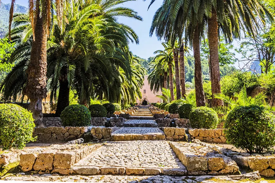 Dichter Palmen- und Ziergarten in Alfàbia mit geschnittenen Büschen, Steinstufen und einem gepflasterten Weg zwischen den Beeten.
