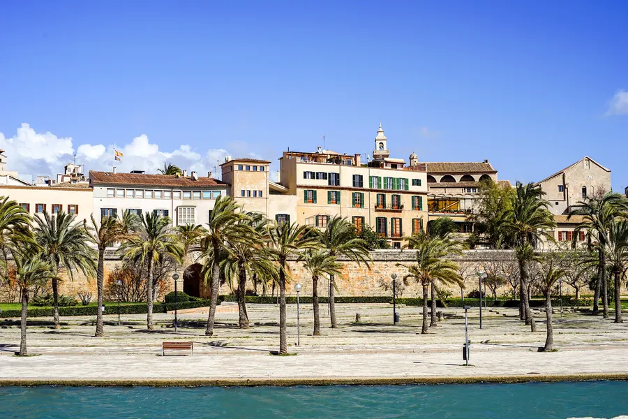 Palmenreihe und Häuser der Altstadt hinter der Stadtmauer von Palma, im Vordergrund das Wasser des Parc de la Mar.
