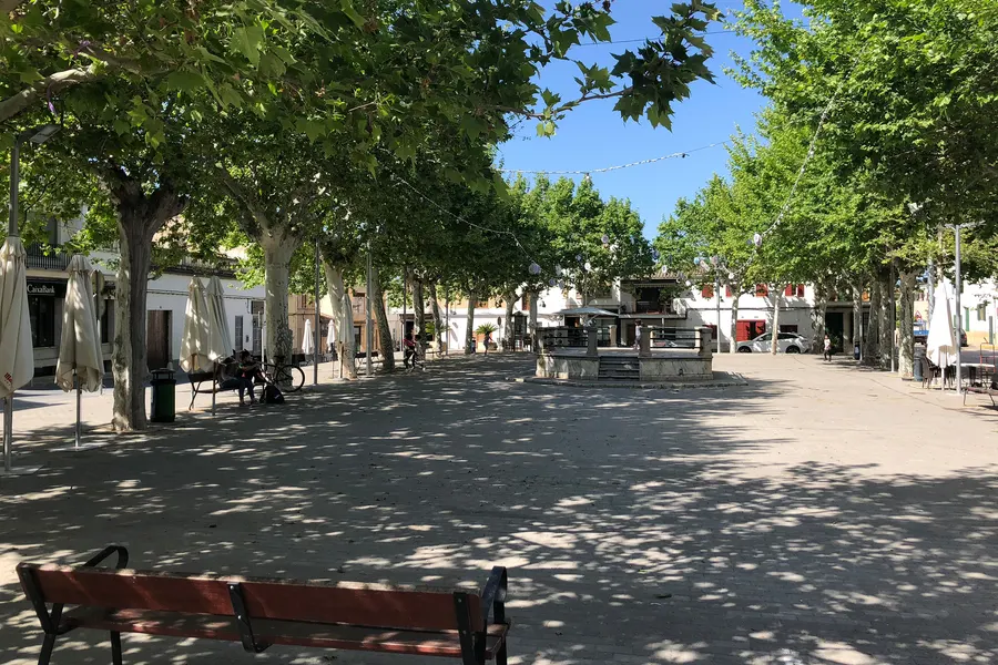 Lange gepflasterte Plaça in Maria de la Salut unter hohen Platanen mit Bänken, dahinter die Häuserzeilen des Ortes.