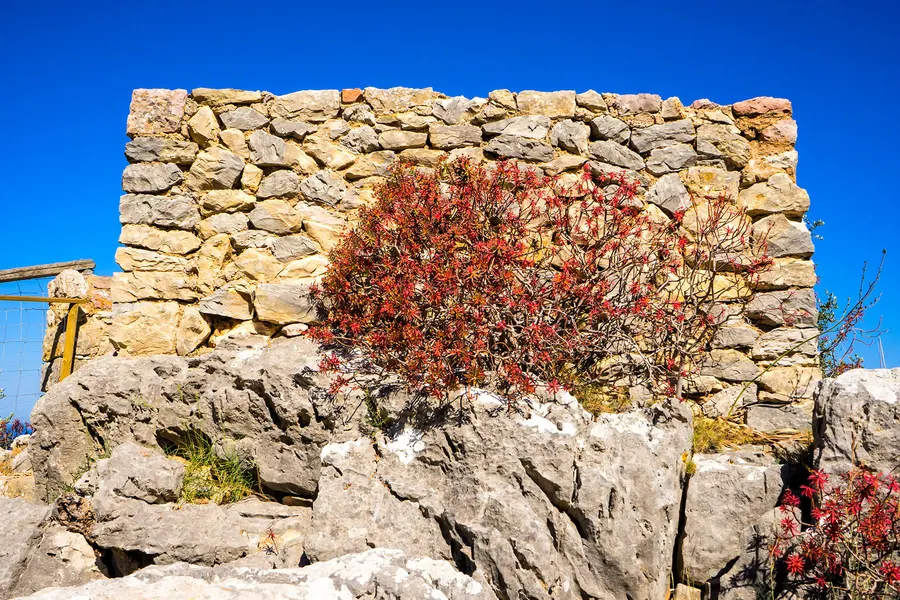 Bruchsteinmauer auf dem Felsen über der Küste bei Miramar, bewachsen mit rotem Herbstlaub, dahinter blauer Himmel.

