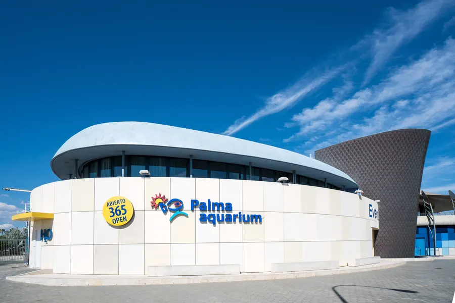 Der geschwungene weiße Rundbau des Palma Aquarium mit Schriftzug und Logo unter blauem Himmel.