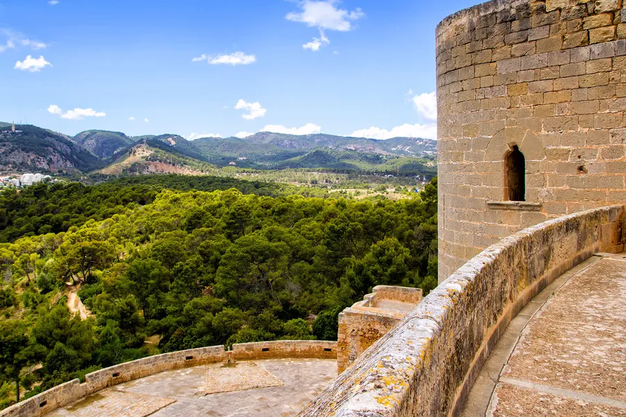 Blick von der Mauer des Castell de Bellver über den umgebenden Pinienwald hinweg auf die Hügel im Hintergrund.
