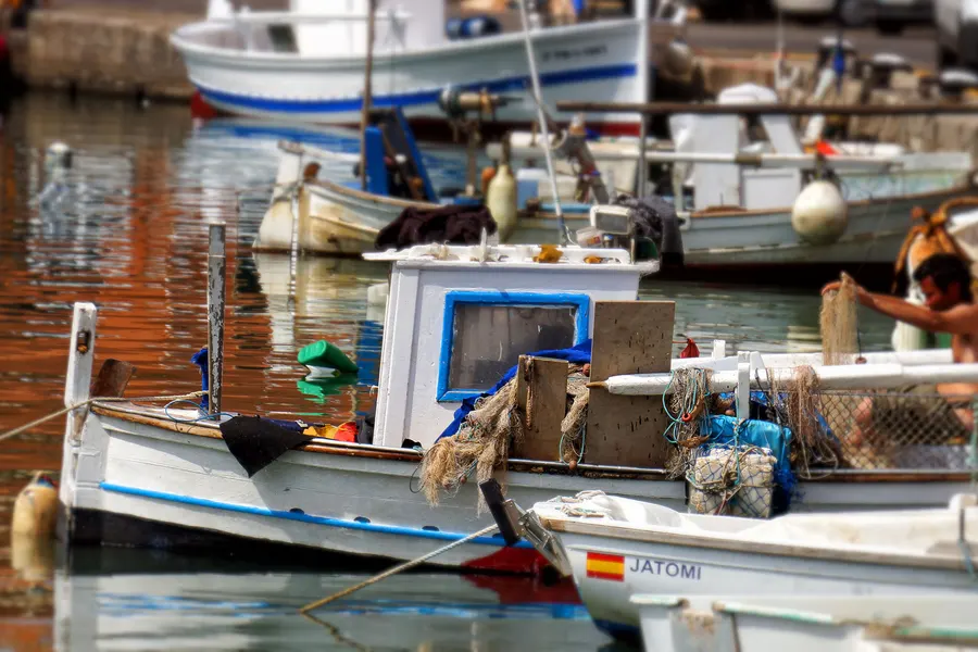 Mehrere kleine hölzerne Fischerboote im Hafenbecken von Palma, dahinter größere Boote und die Kaimauer.