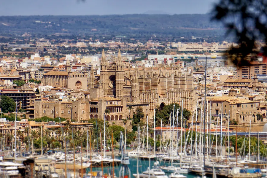 Blick über die Masten des Yachthafens auf die Altstadt von Palma mit der Kathedrale und den Bergen dahinter.
