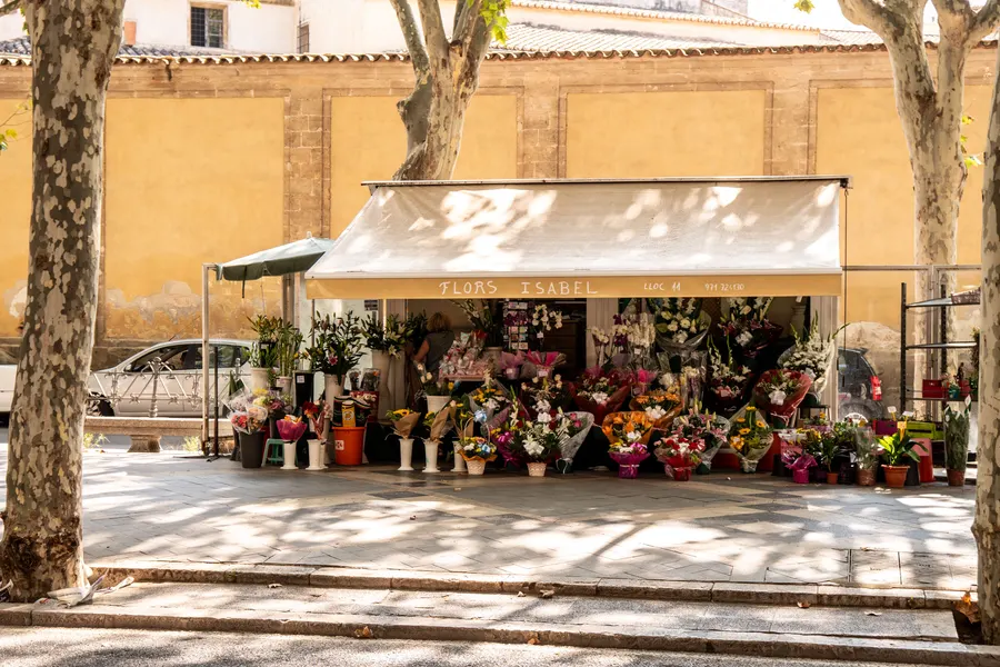 Ein Blumenstand unter Platanen in Palma, davor Eimer und Kübel mit Schnittblumen und Topfpflanzen.

