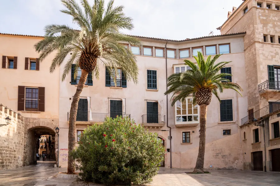 Kleiner Platz in Palma mit Palmen, einem Torbogen und ockerfarbenen Häusern mit grünen Fensterläden.
