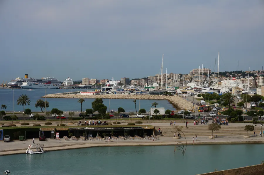 Blick vom Parc de la Mar über die Hafenbucht von Palma: im Vordergrund Palmen und das Wasserbecken, dahinter Yachthafen und ein Kreuzfahrtschiff.