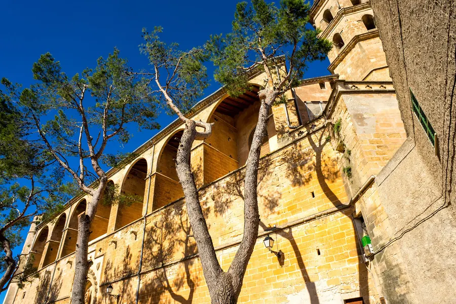 Die hohe Seitenwand der Pfarrkirche von Petra mit Strebepfeilern und Spitzbogenfenstern, davor die Äste einer alten Kiefer.